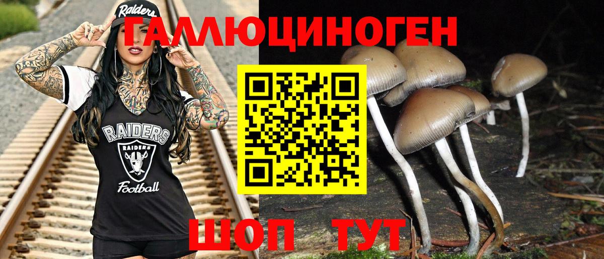 Псилоцибиновые грибы GOLDEN TEACHER Воркута