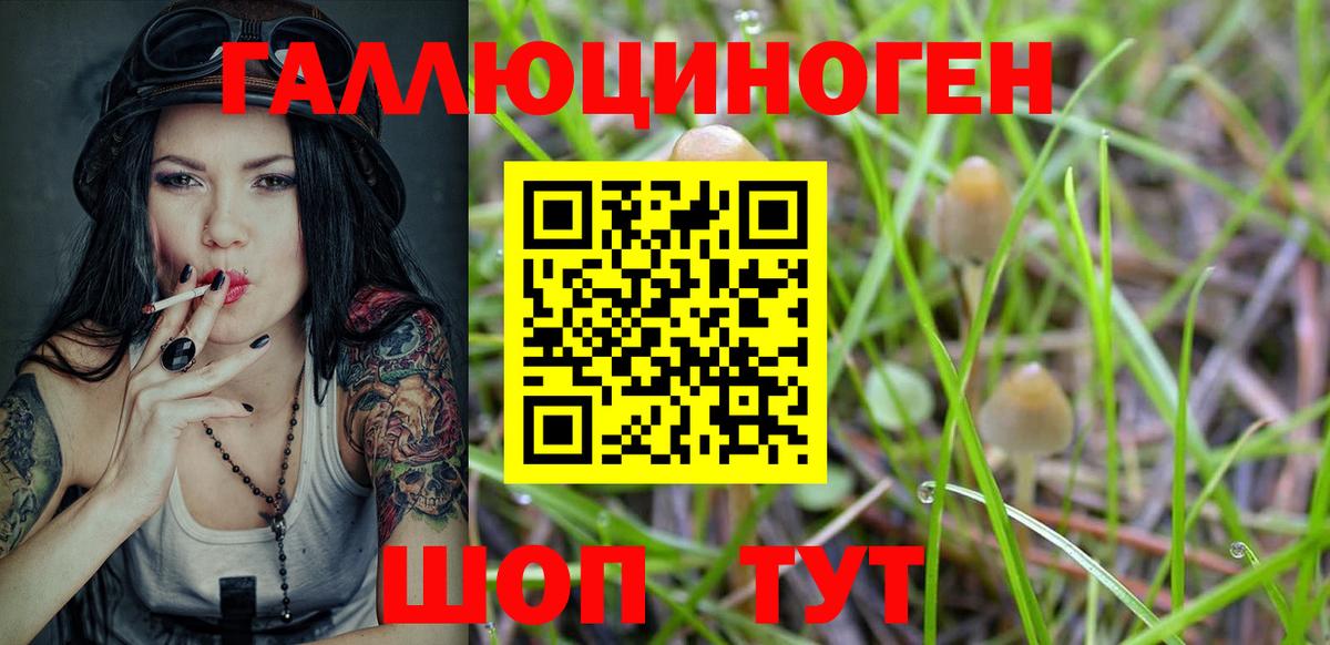 Галлюциногенные грибы Cubensis  Вход с VPN  Воркута 